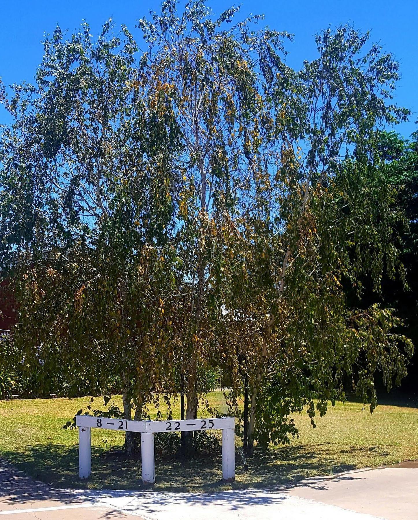 Centrepoint Motel Deniliquin Eksteriør bilde